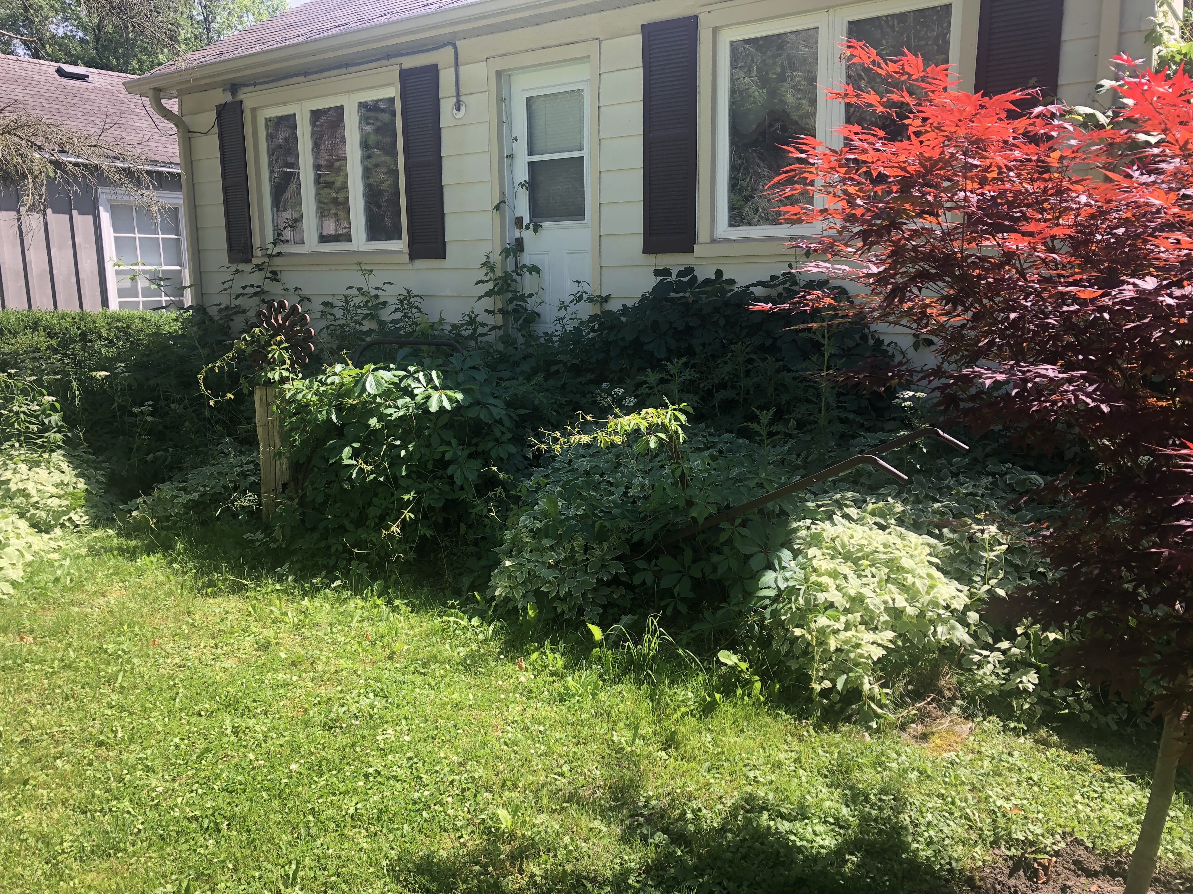Before and After – The Fence and Deck Guys